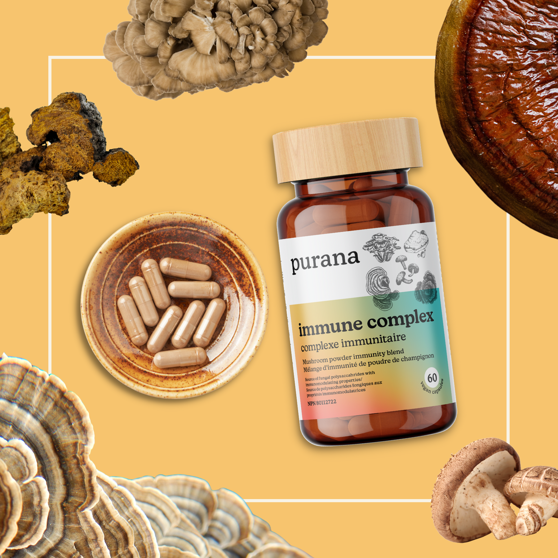 How to Support and Protect your Immune System with Purana's Immune Complex