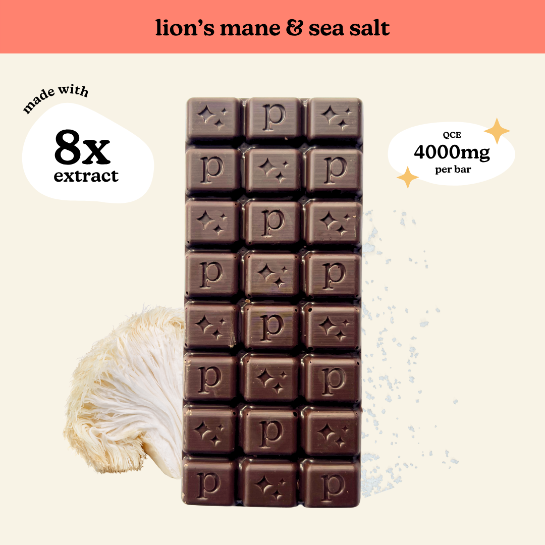 Lion's Mane 8x Sea Salted Dark Chocolate
