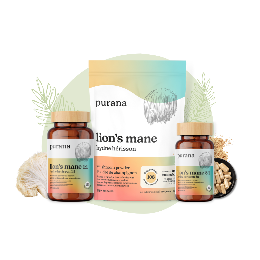 Purana_Lion_s_Mane_Bundle_Transparent.png