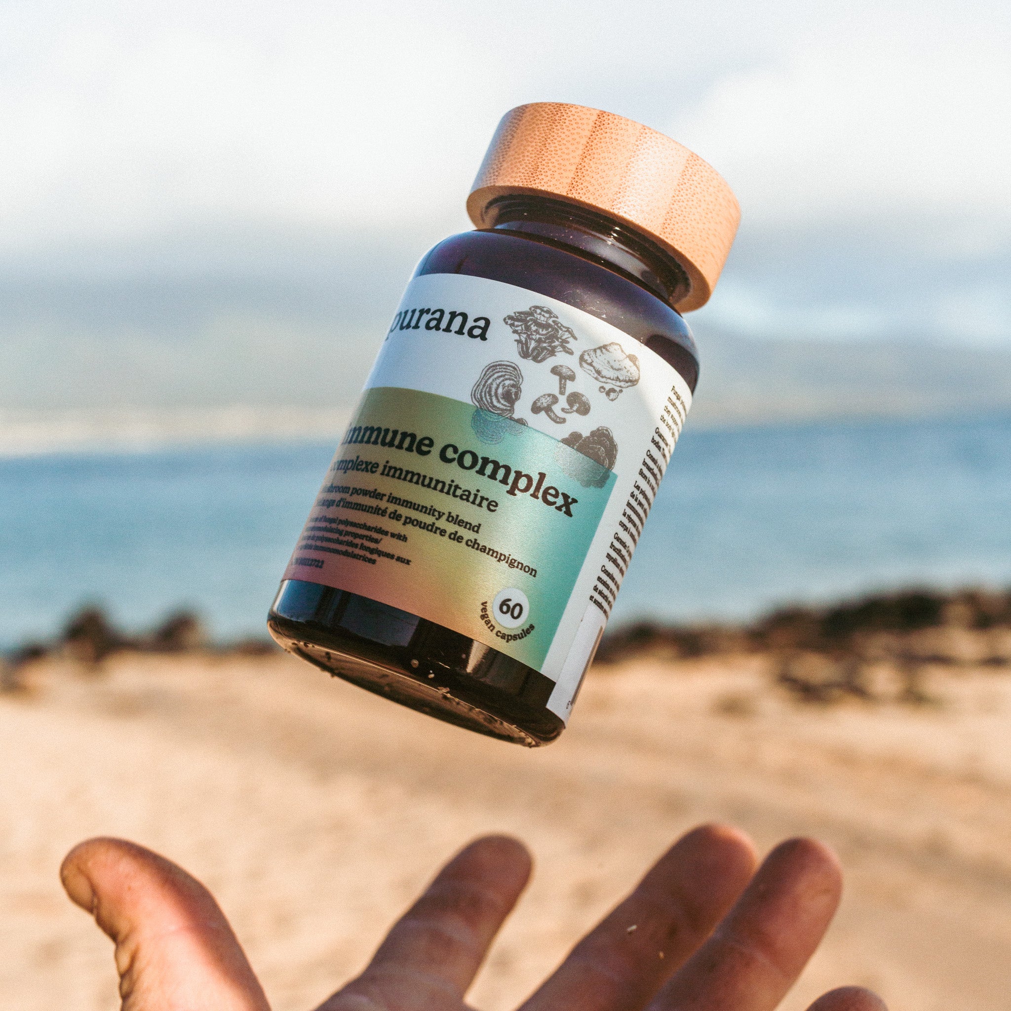 Purana_immune_complex_in_air_beach.jpg