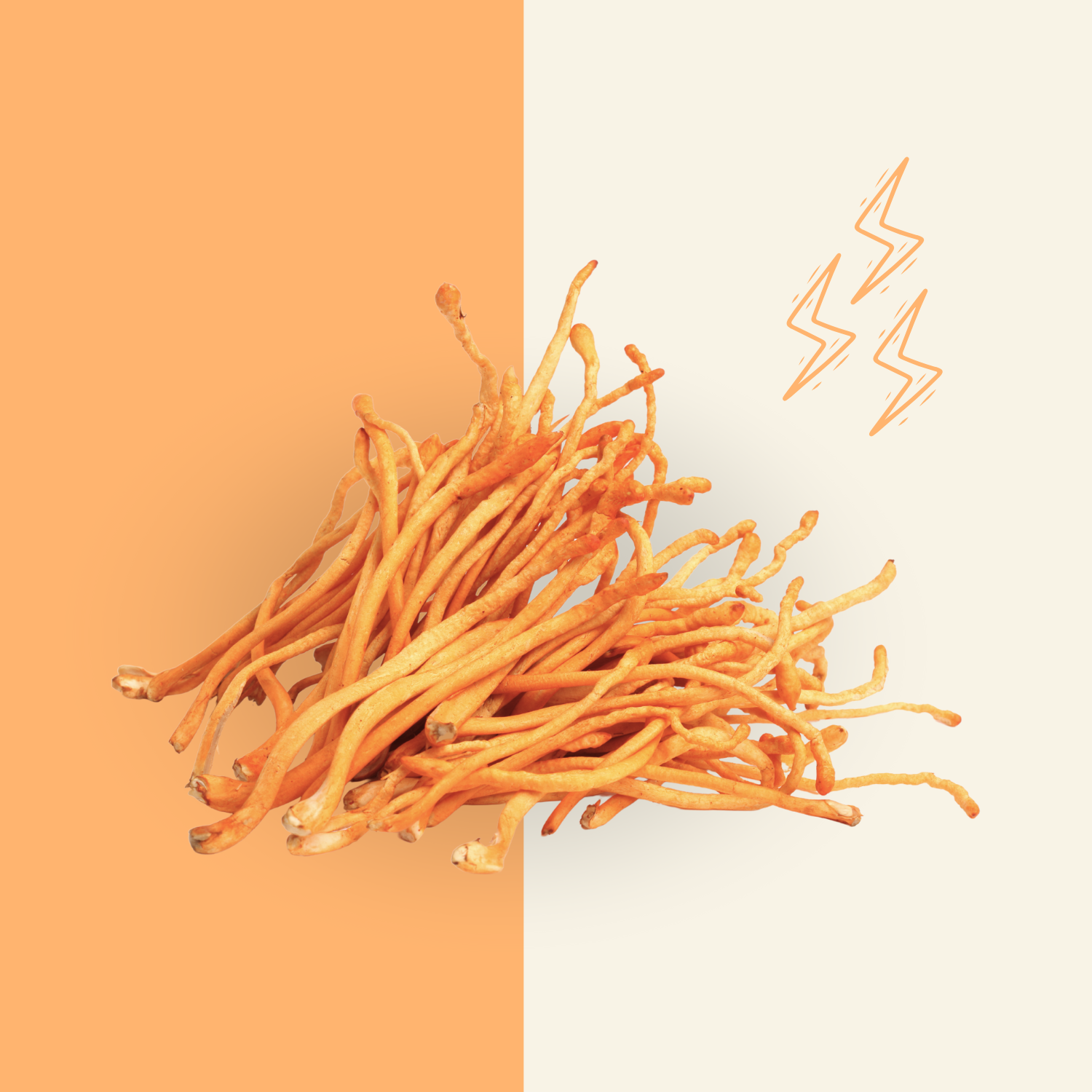 Dried cordyceps mushrooms on an orange and cream background with lightning-bolt sketches