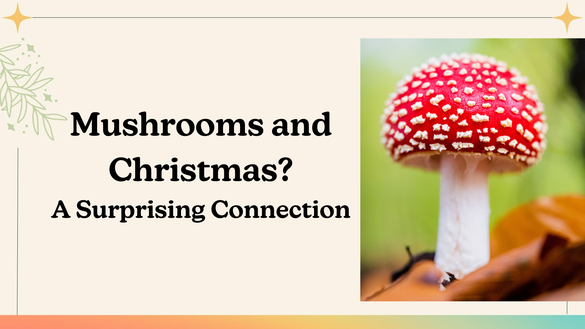 Amanita Muscaria Mushrooms and Their Surprising Connection to Christmas