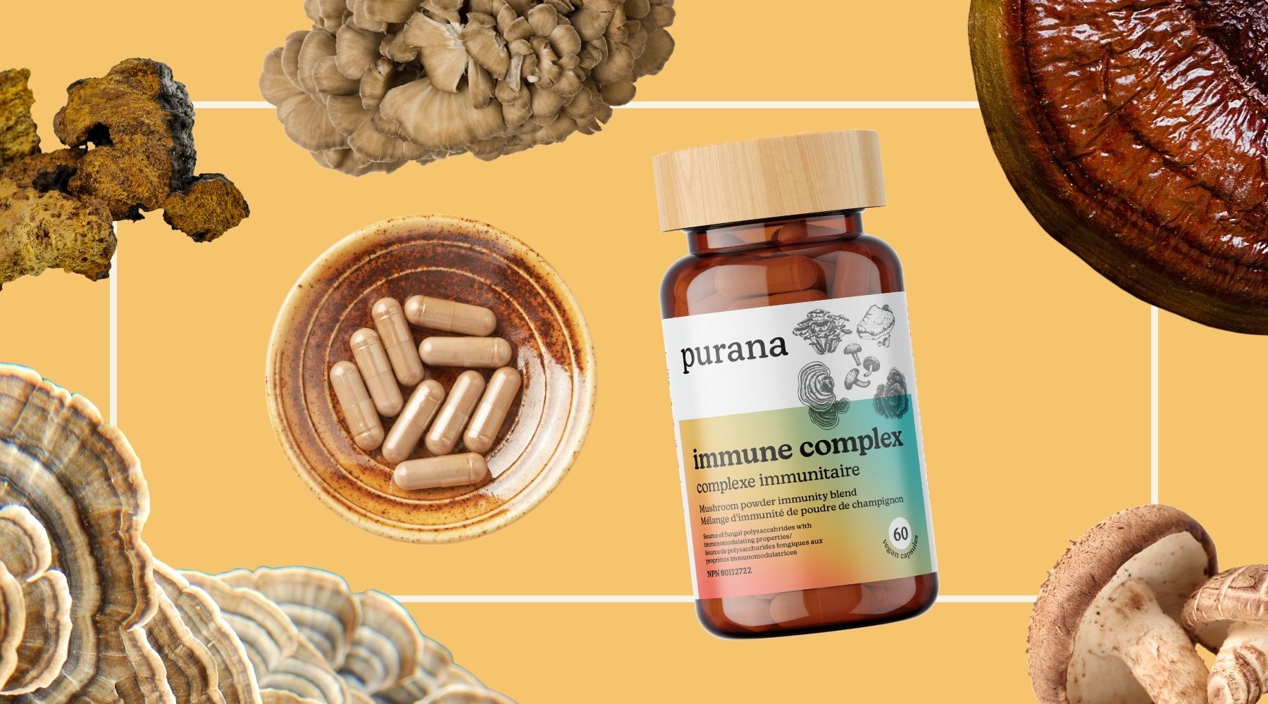 How to Support and Protect your Immune System with Purana's Immune Complex