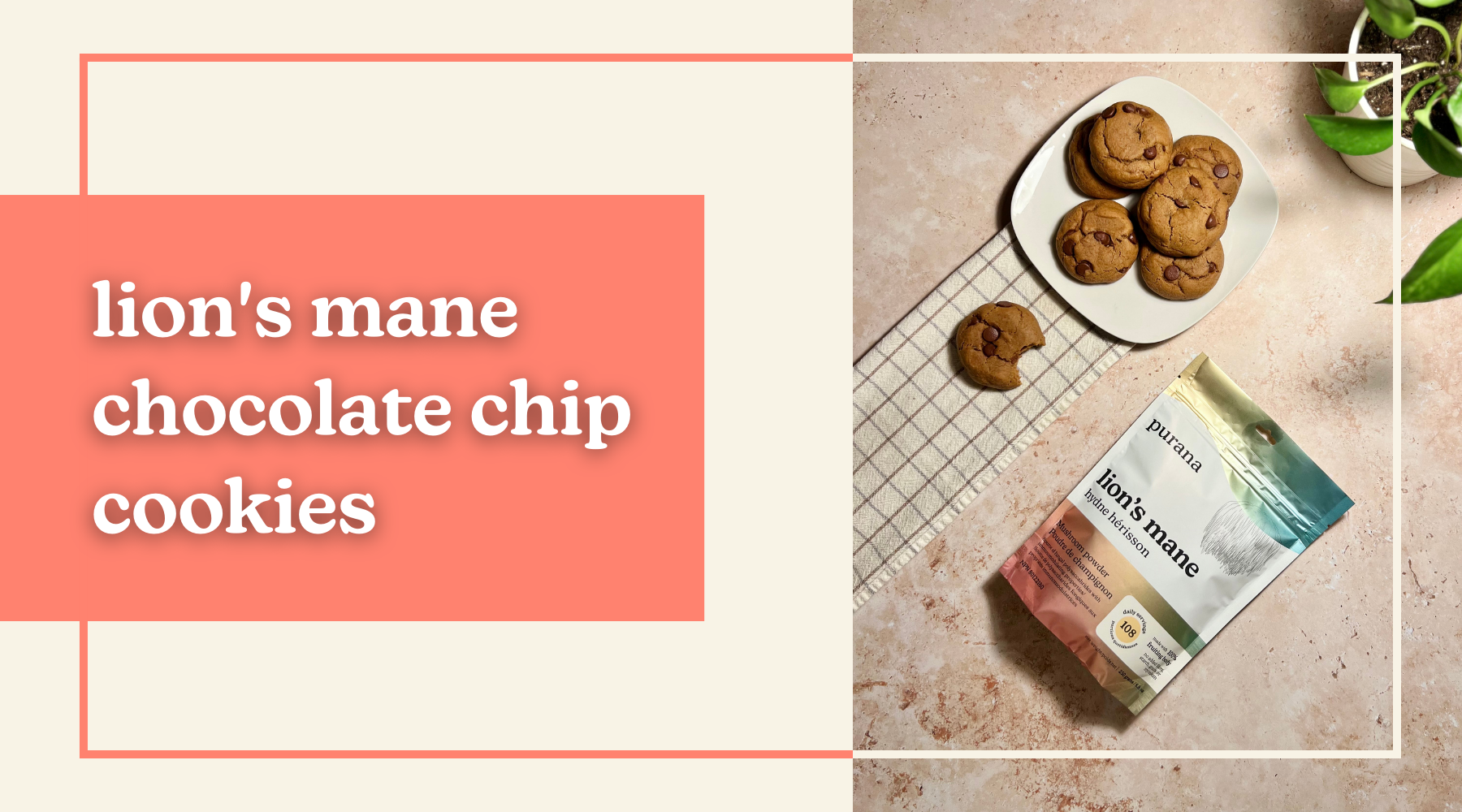 Lion's Mane Chocolate Chip Cookies