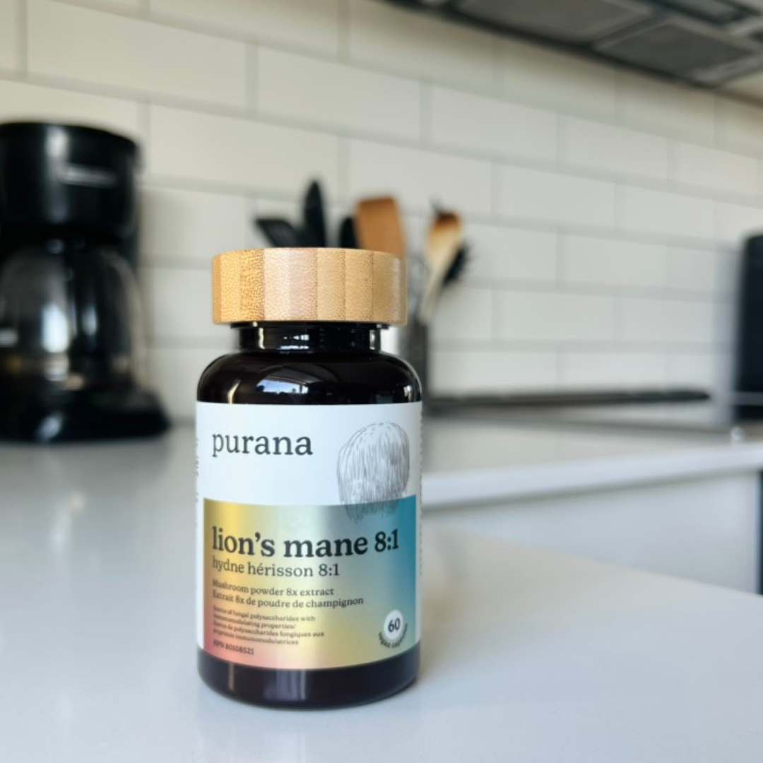 Lion's mane and the brain: the stack we recommend, and the biology behind it