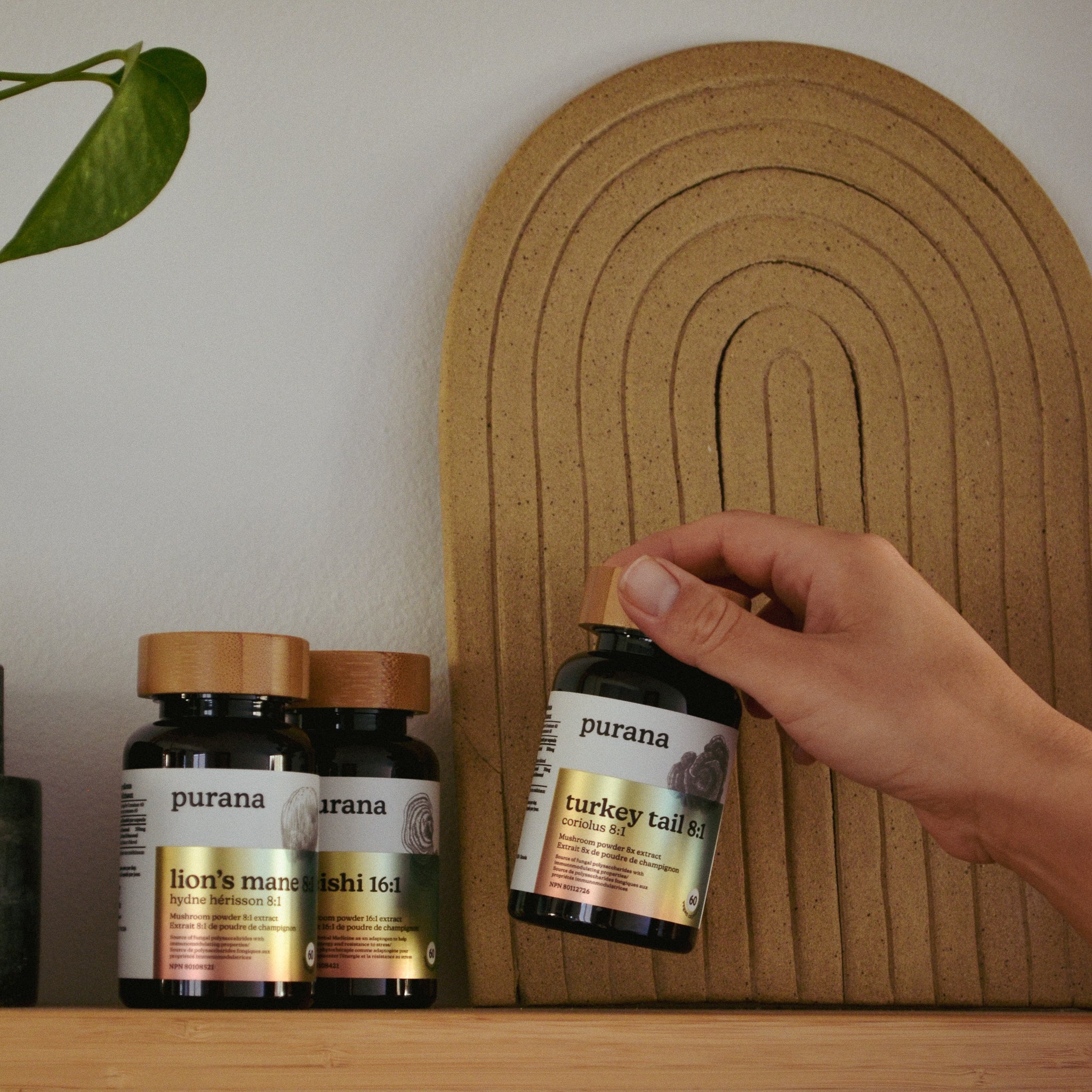 What makes a Purana capsule different