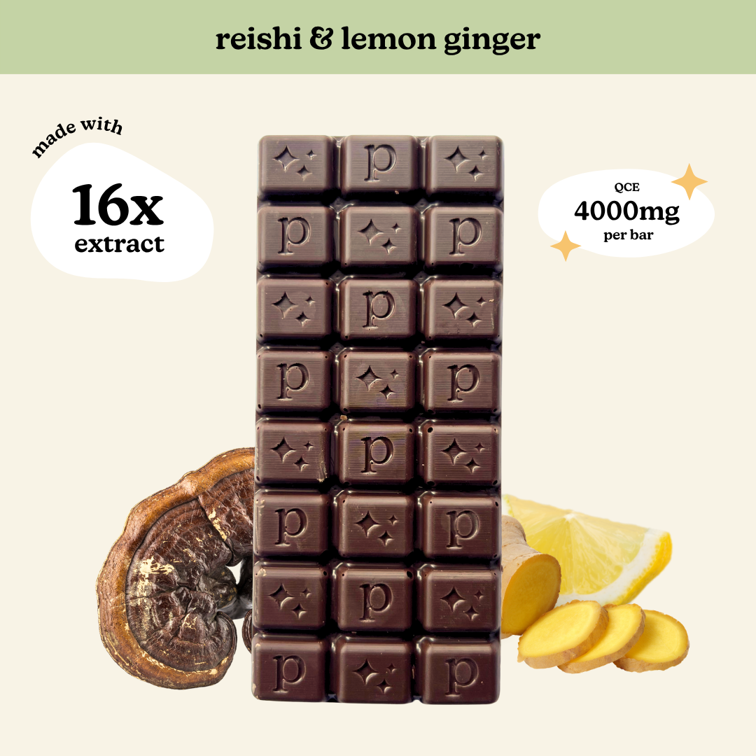Reishi 16x Sea Salted Dark Chocolate