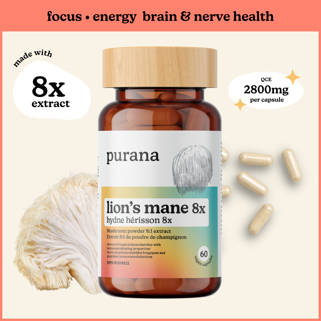 Lion's Mane 8:1 Capsules – Purana Health