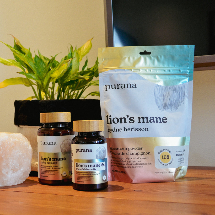 A pouch of Purana lion's mane powder beside two Purana bottles on a sunlit kitchen table