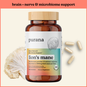 Lion's Mane 1x Capsules (US)