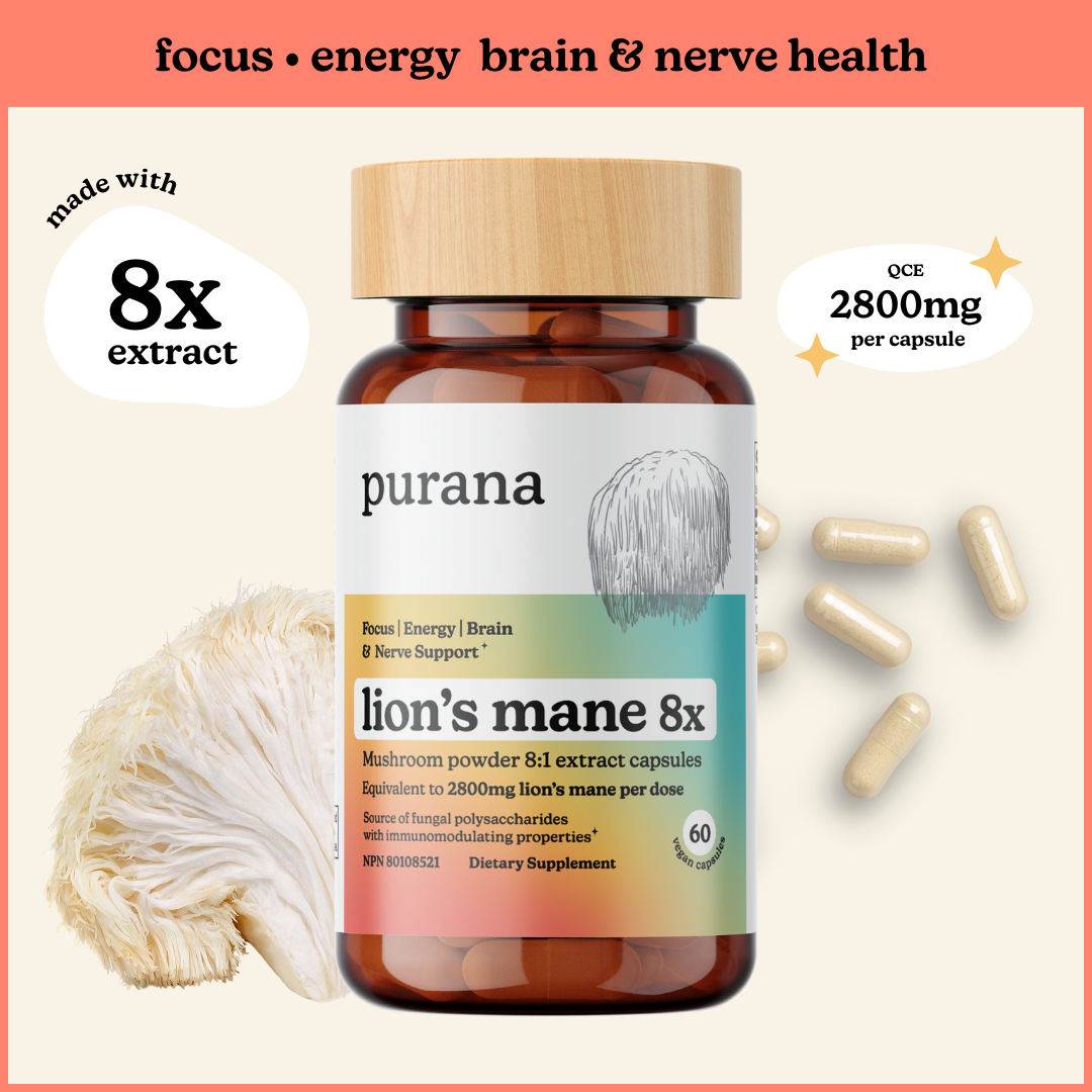 The Ultimate Lion's Mane Bundle - Lion's Mane Powder, Lion's Mane 1x Capsules, and Lion's Mane 8x Capsules (US)