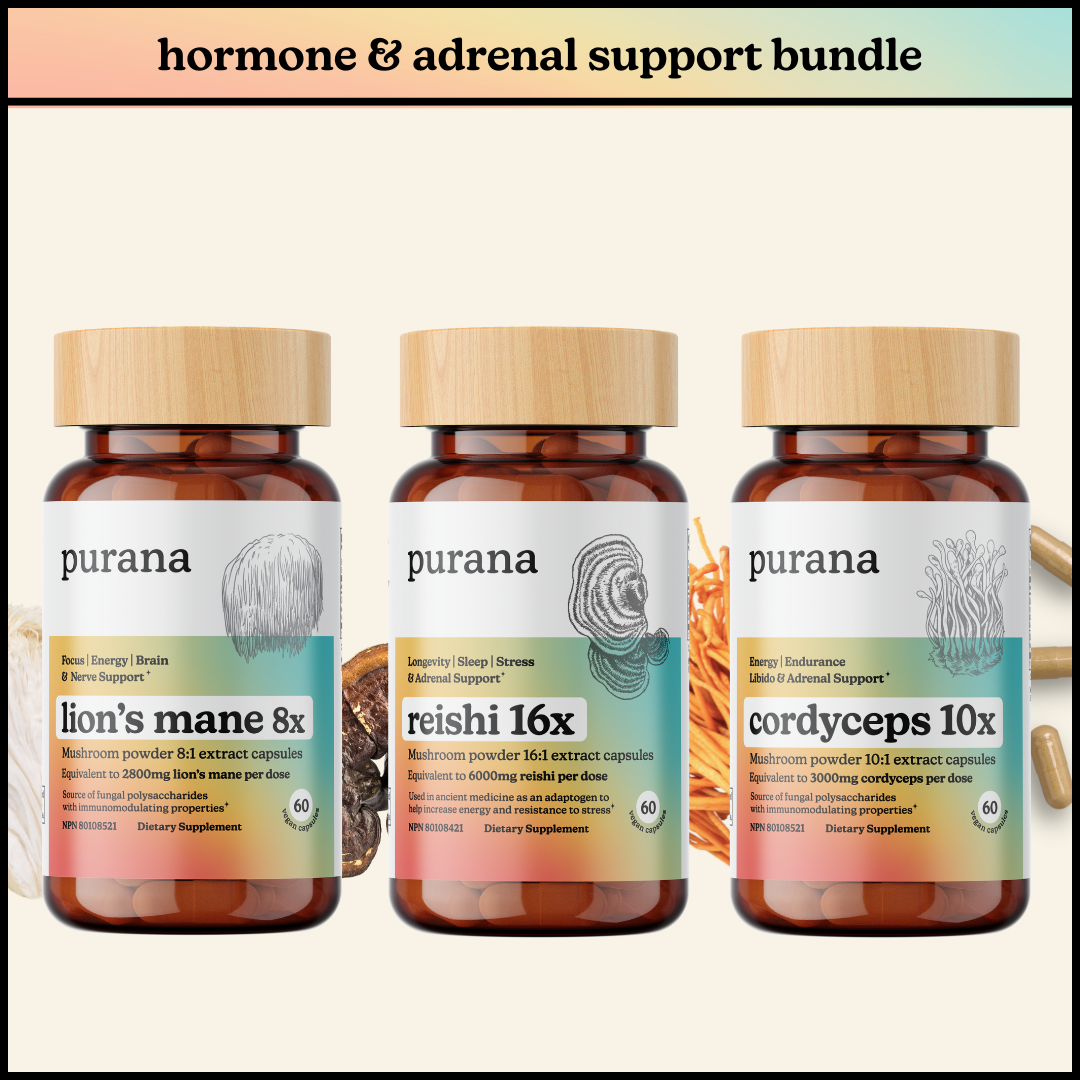 Hormone Health Bundle - Cordyceps 10x, Lion's Mane 8x, and Reishi 16x Bundle (US)