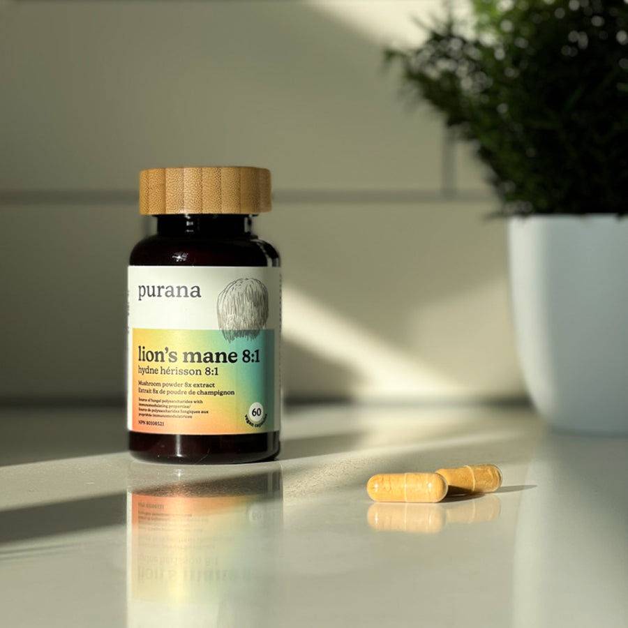 A bottle of Purana lion's mane 8:1 beside a small pile of capsules on a kitchen counter, with a plant behind