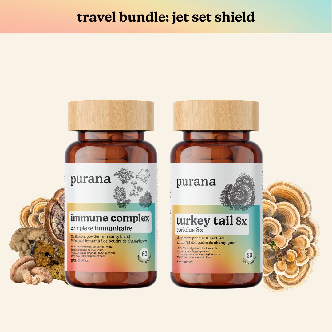 TravelBundlePicturePurana.png