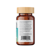 Microbiome Health Bundle - Immune Complex, Lion's Mane 1:1 Capsules, and Turkey Tail 8:1 Capsules