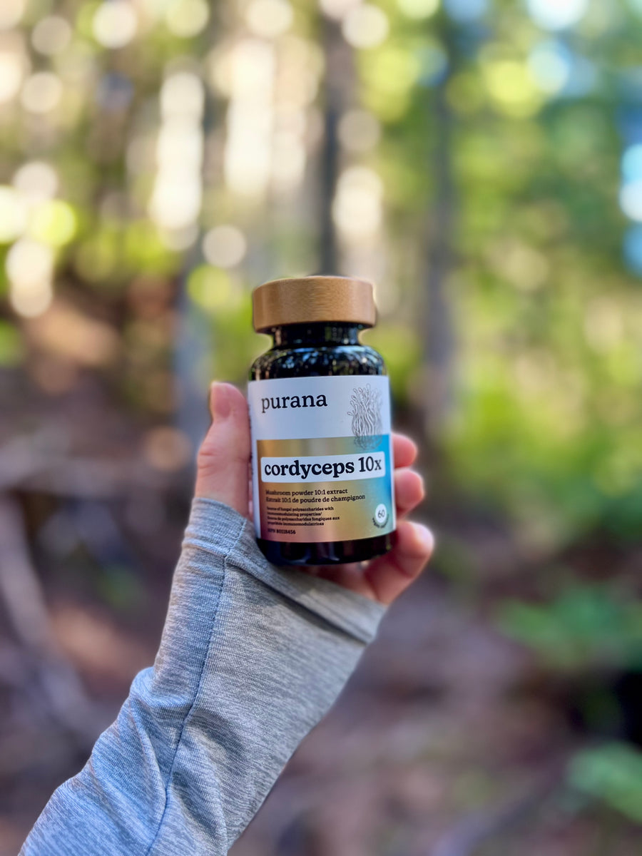 A hand holding a bottle of Purana cordyceps 10:1 in a sunlit forest