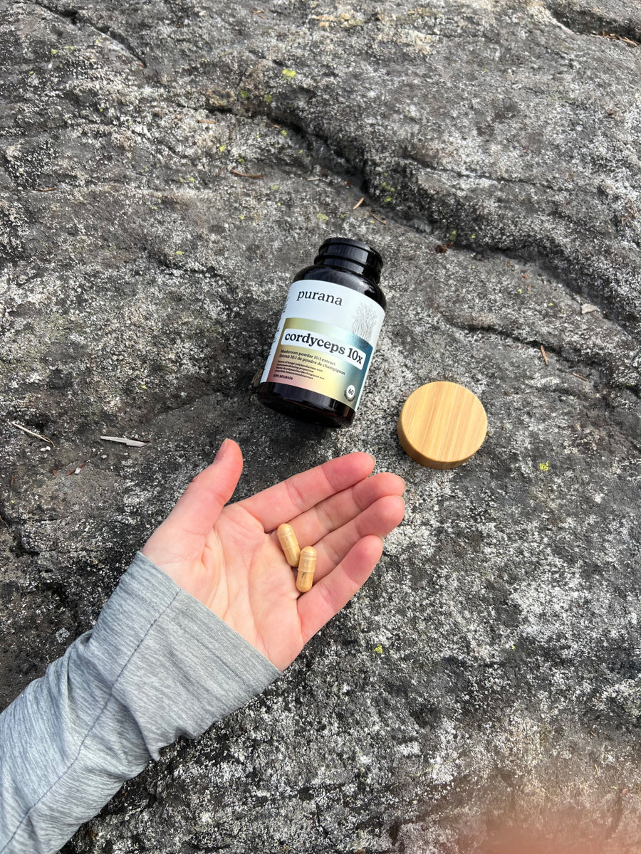 A bottle of Purana cordyceps 10:1 on a rock beside a hand holding a capsule
